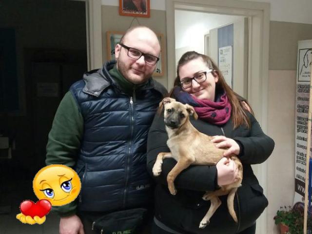 Auguri cucciolo!